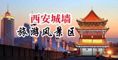 黑人大屌操屄中国陕西-西安城墙旅游风景区